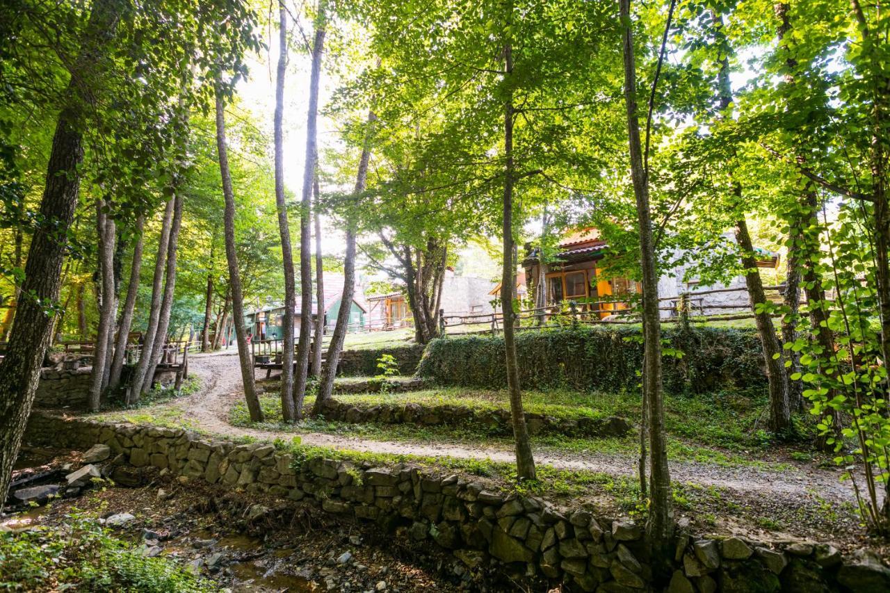Hindiba Doga Evi Hotel Mengen Exterior photo